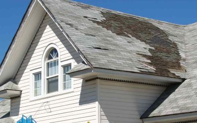 Custom New Home Construction in Tampa Bay: Building Dreams with Skyline Contracting